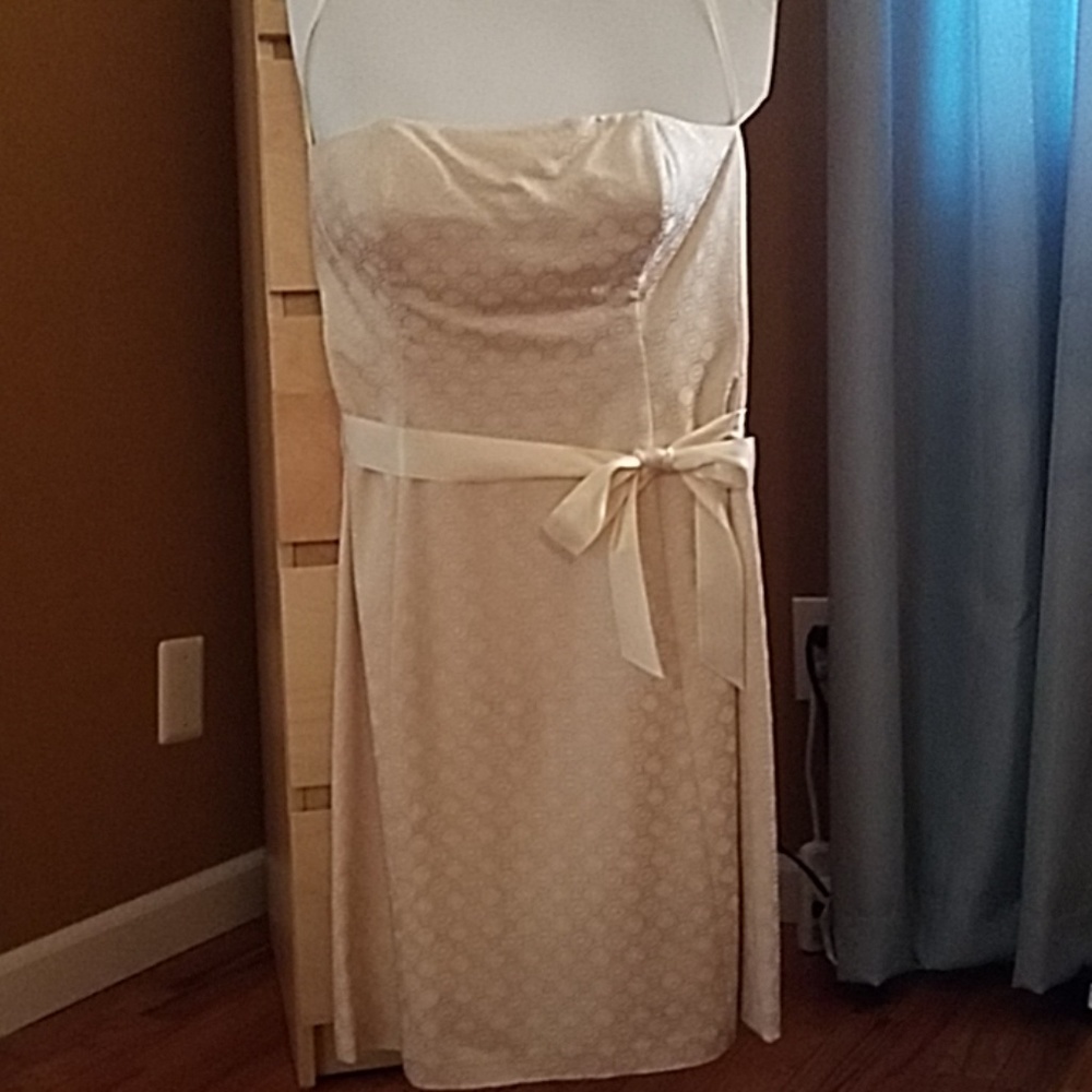 Prom or Cocktail Dress